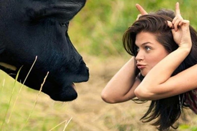 Girls VS Cow iPhone 5 Wallpapers (640x1136)