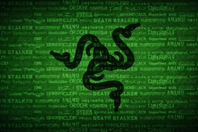 Razer Wallpapers Download_hd Wallpaper_download Free Wallpapers