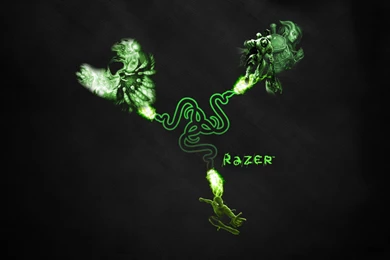Razer Wallpapers Download_hd Wallpaper_download Free Wallpapers