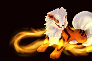 Arcanine Uses Fire Spin By CHOJAEYOON On DeviantArt