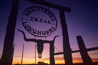 Texas Wallpapers