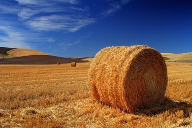 Download Wallpapers 3840x2400 Hay, Bale, Field, Agriculture, Straw ...