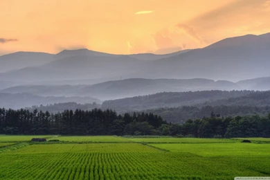 Agriculture HD Desktop Wallpapers : High Definition : Fullscreen ...