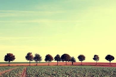 Agriculture Field Wallpapers