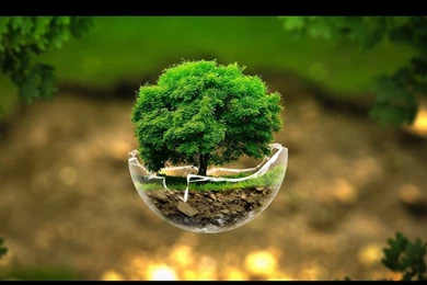 WELCOME TO WEBBERTON