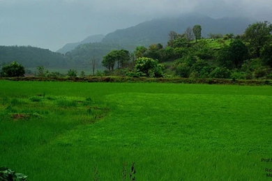 Image Box Wallpapers