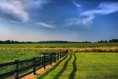 Fence Fields Greens Agriculture Hd Wallpapers
