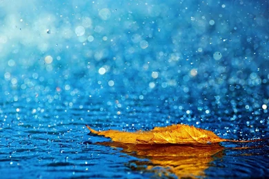 Beautiful Rain HD Wallpapers For Desktop