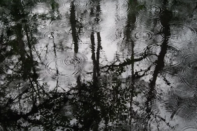 Puddles Of Rain Wallpaper Backgrounds