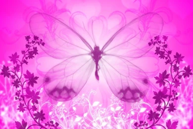 Wallpapers DB: Butterfly Backgrounds