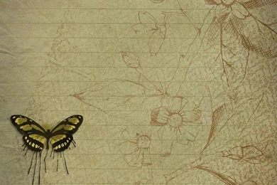 Butterfly, Backgrounds   Free Images On Pixabay