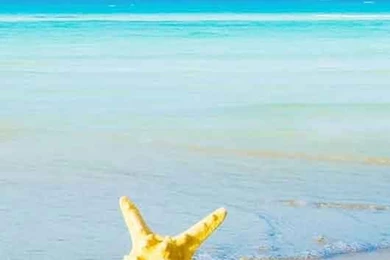 Summer Beach Iphone 5 Wallpapers.jpg