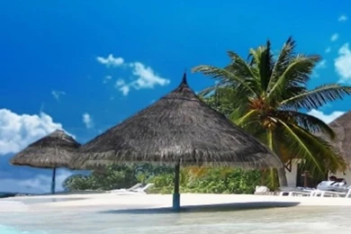 Dream Island Beach 2013   Free Download Beautiful Tropical Island ...