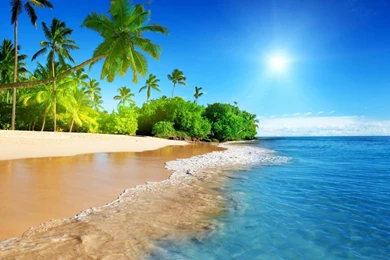 Download Tropical Beach Wallpapers For Iphone