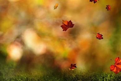 Podcast « Cornerstone Church