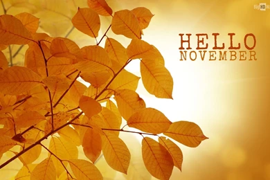 Hello November HD Wallpapers
