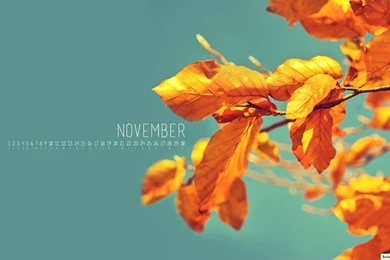 Pic New Posts: Check Wallpapers