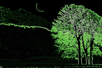 Download Neon Green Wallpapers High Definition