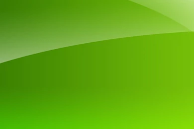 Lime Green Wallpaper_hd Wallpaper_download Free Wallpapers