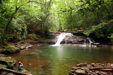 Top Home Desktop Wallpapers Fishing Images For Pinterest