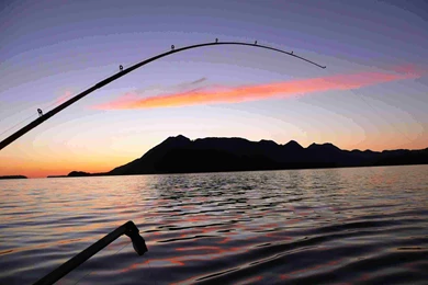 Fishing Wallpaper Backgrounds