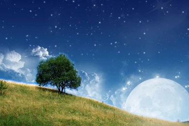 Moonlight Desktop Wallpaper, Moonlight Images, New Wallpapers