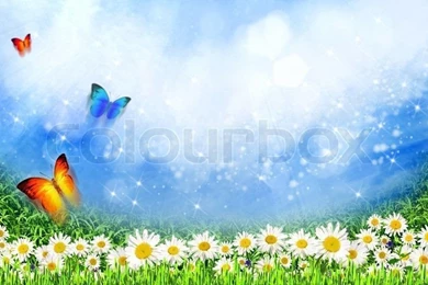 Green Field With Daisy Flowers Under The Sunlight As Natural ...