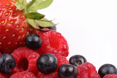 Berries HD Wallpapers
