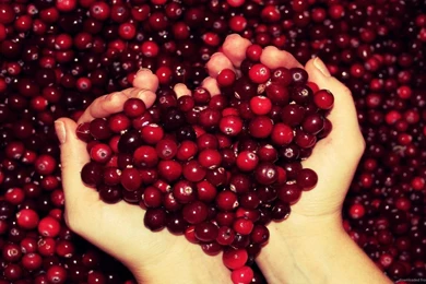 Download 1600x900 Heart Shaped Berries Wallpapers