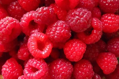 Red Raspberry Berries, Close up Photography Wallpapers