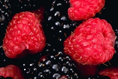 Berries HD Desktop Wallpapers : High Definition : Fullscreen ...