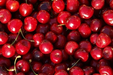 Many Berries, 1280x800 Pixels : Wallpapers Tagged Food Wallpapers ...