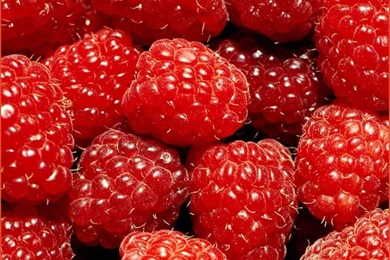 Health Coaching By Sara: July 2014