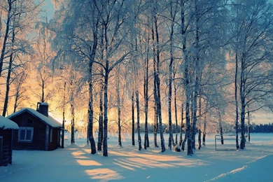 Winter Backgrounds Wallpapers