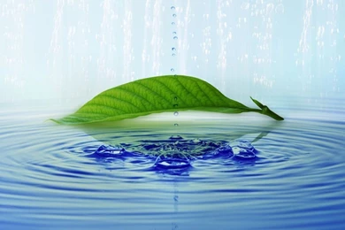 Best Free iPad Wallpapers   iPad Christmas Wallpapers Tutorials