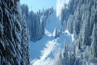 Galaxy S3 Wallpapers HD   Beautiful, Stunning Wallpapers