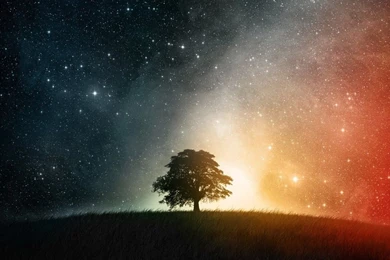 Favourite Stars Sky Windows Tree Fantasy Wallpapers