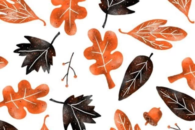 Free Fall Wallpapers Download