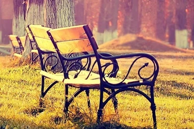 Awesome Autumn Wallpapers For Your iPhone HD   The Nology