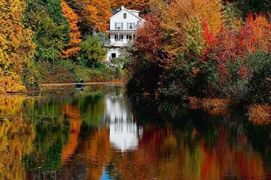 Falls iPhone 5s Wallpapers