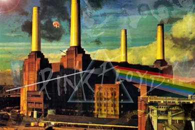 Pink Floyd Wallpapers   Found Some