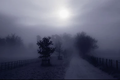 25 Excellent HD Fog Wallpapers HDWallSource.com