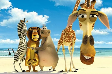 Madagascar Escape 2 Africa Wallpapers   Crazy Frankenstein