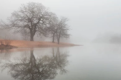 Fog HD Wallpapers   , New Wallpapers, New Wallpapers