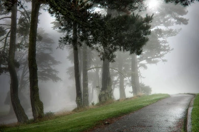 Fog HD Wallpapers , New Wallpapers, New Wallpapers