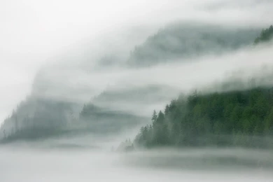 467 Fog HD Wallpapers