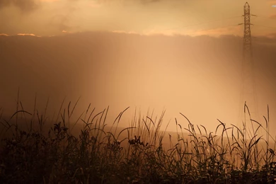 Power Lines Behind The Dense Fog Wallpapers   Nature Wallpapers ...