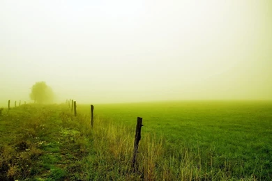 467 Fog HD Wallpapers