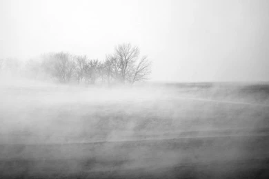 Winter Fog   Wallpapers