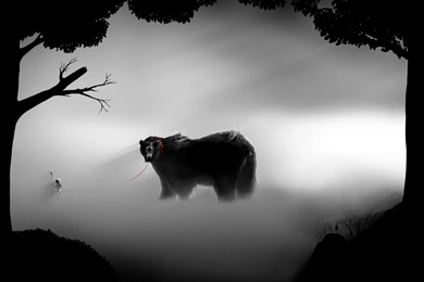 Monster Bear In The Fog Wallpapers   Artistic Wallpapers